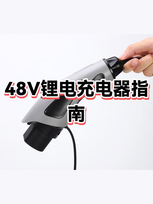 电动车锂电充电器哪个牌子好游戏截图
