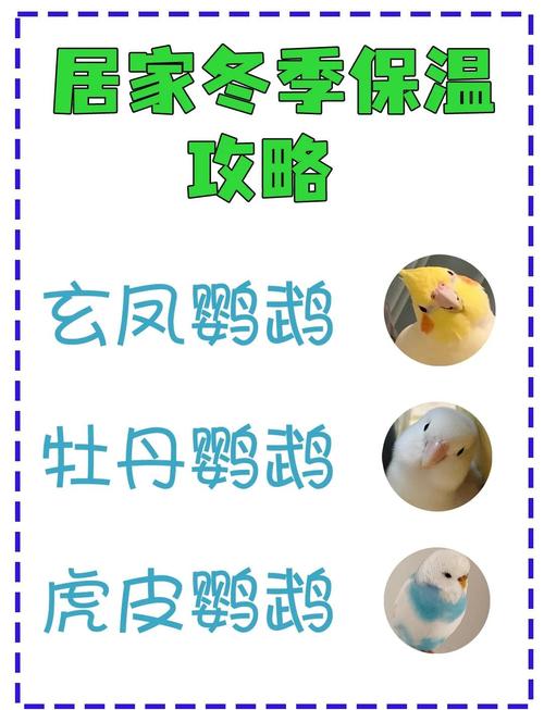 什么季节适合买鹦鹉
