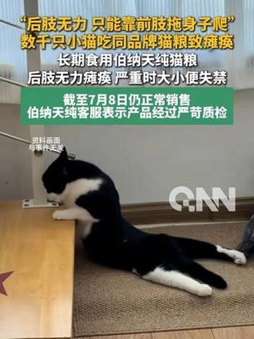 猫后腿无力但能吃能喝