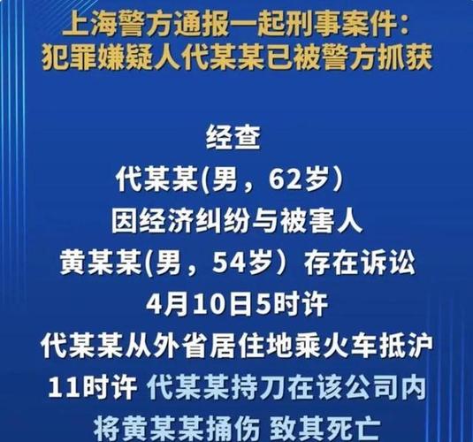 上海刑事案件查询网上查询游戏截图