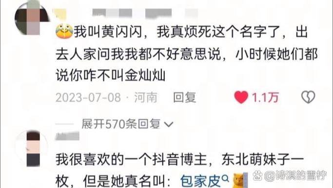太土了是什么意思