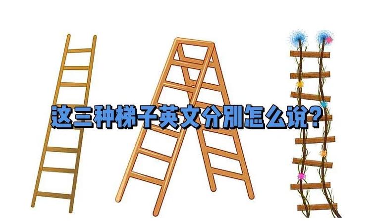 meeff需要梯子吗截图