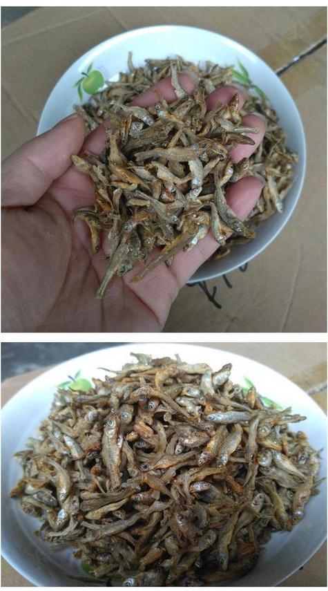 小鱼干哪里有卖的