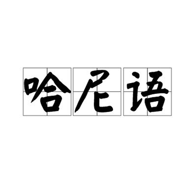 哈尼话方言大全