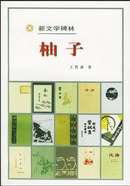 柚子阅读小说图标