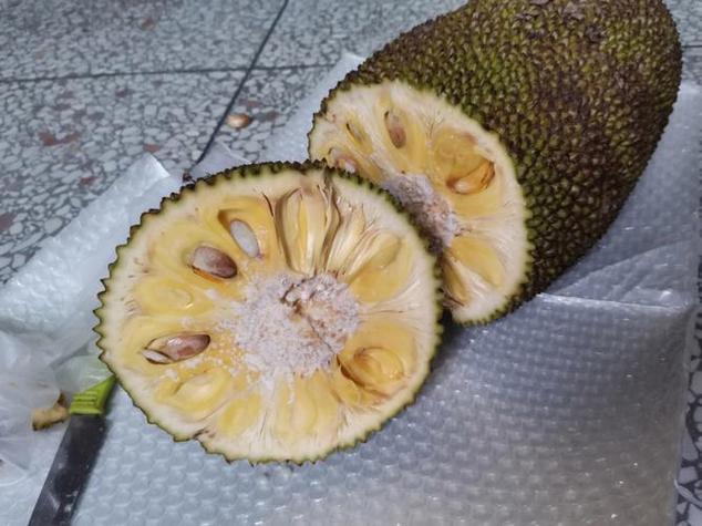 菠萝蜜脆的是没熟吗图标