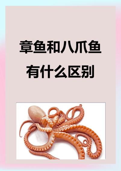 八爪鱼不可以和什么一起吃截图