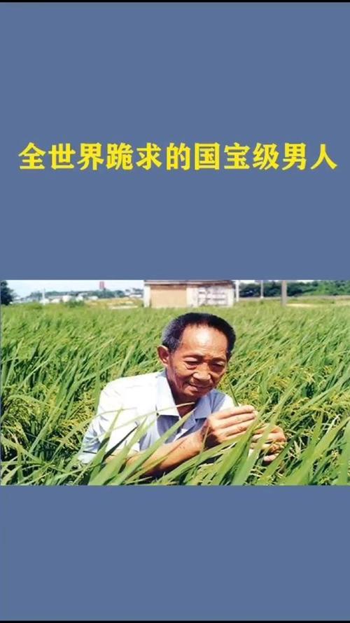 男神吃你家大米了
