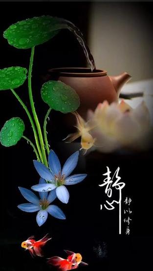 抖音拍照直接存相册不发布