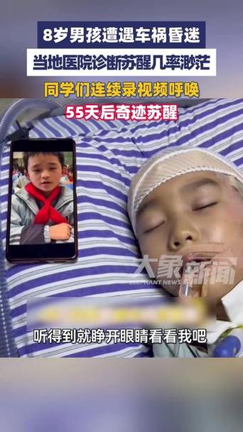 唤醒昏迷儿子完整版