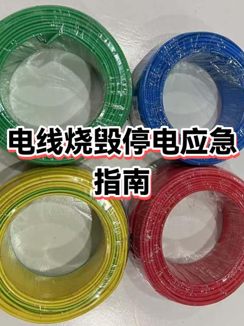插头烧了怎么家里全部停电了