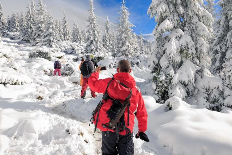 森林游戏雪山缩略图