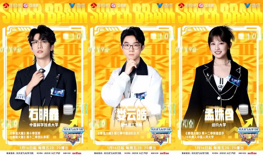 最强大脑2026第十三季