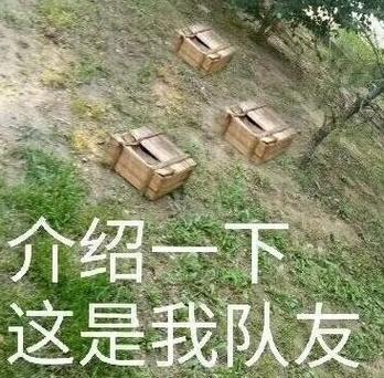 落地盒子精类似的id
