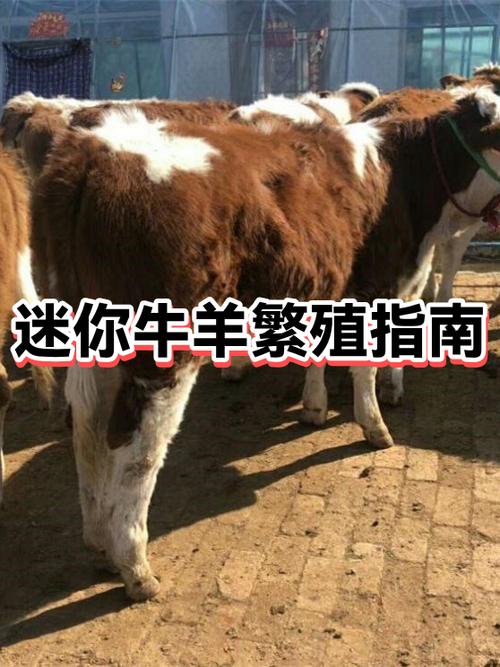 迷你世界怎么让动物繁殖图标