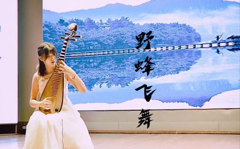 野蜂飞舞琵琶版
