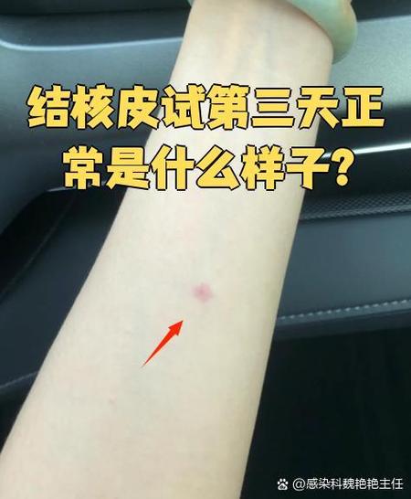pdf和ppd有什么区别