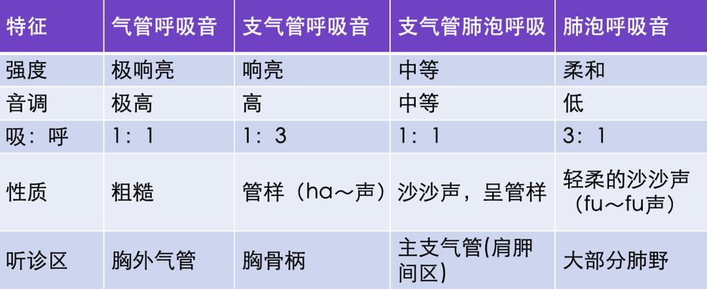 各种呼吸音音频