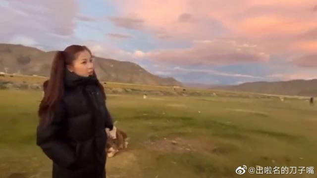 她千百度影院免费观看电视剧最新章截图