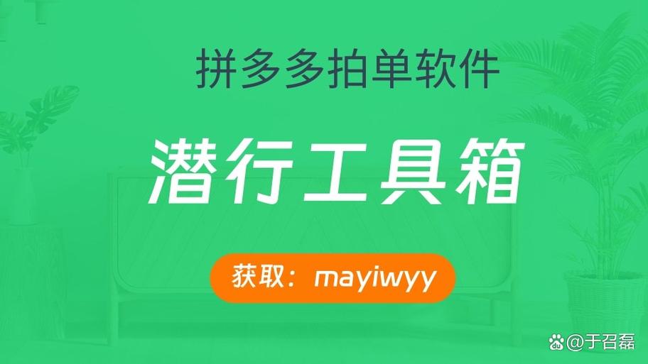 拼多多拍单软件哪个好