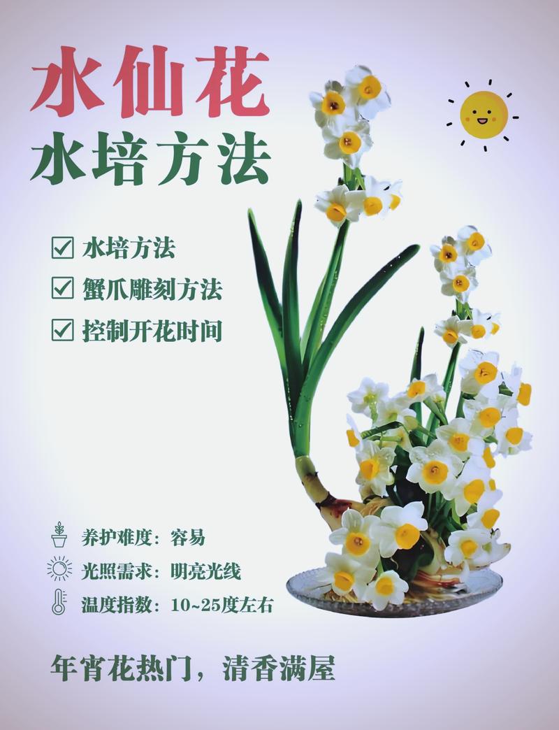 水仙阅读理解答案