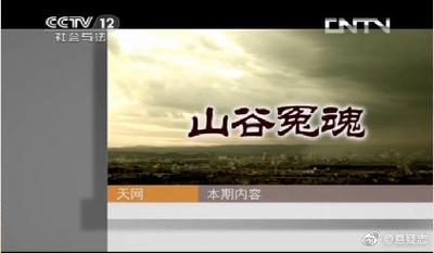 《天网》山谷冤魂