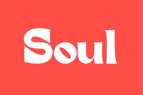 soul灵魂官网图标