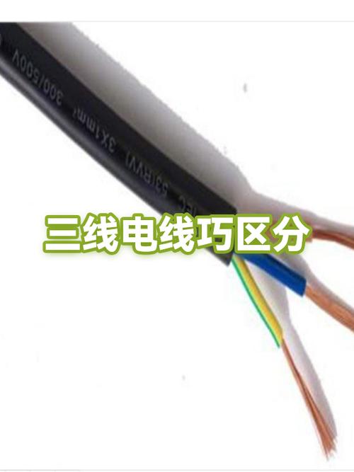 电线三线怎么分是什么线截图