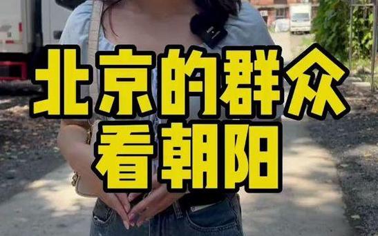 北京朝阳群众的前身游戏截图