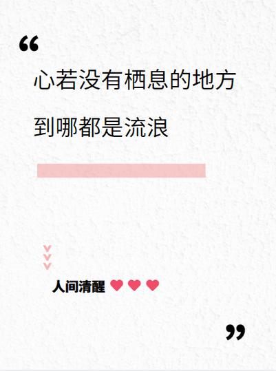 到哪都是流浪前面一句是什么截图