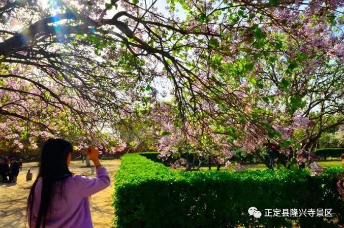 京上春色元芍七无删减全文免费阅读