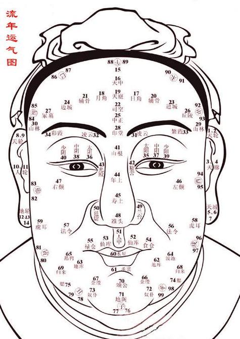 面相分析游戏截图