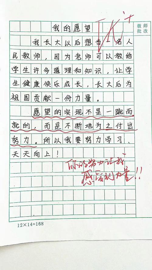 《我的心愿》作文500字优秀作文
