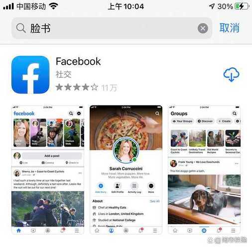 脸书相当于中国的什么软件图标