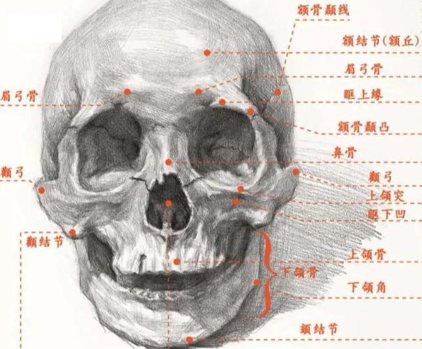 骷髅头颅截图