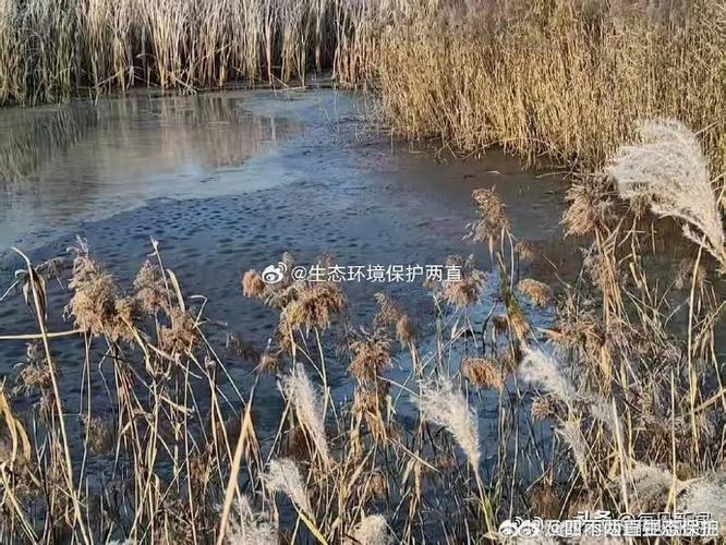 纳税人报记者弓盛舟