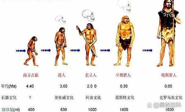 人类进化史诗:突变截图