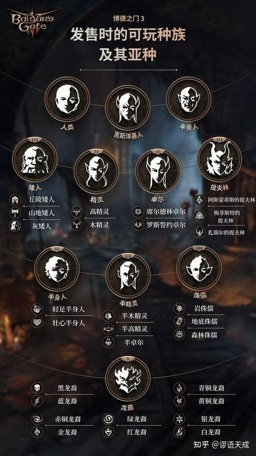 博德之门3新手选什么
