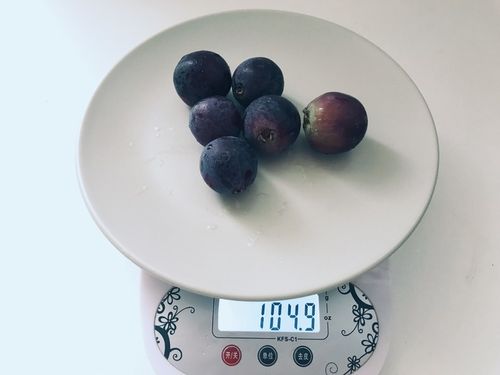 一串葡萄重多少千克