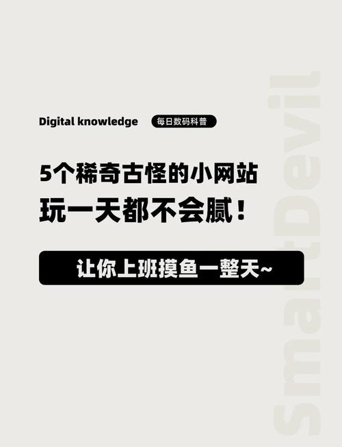 趣九虎网