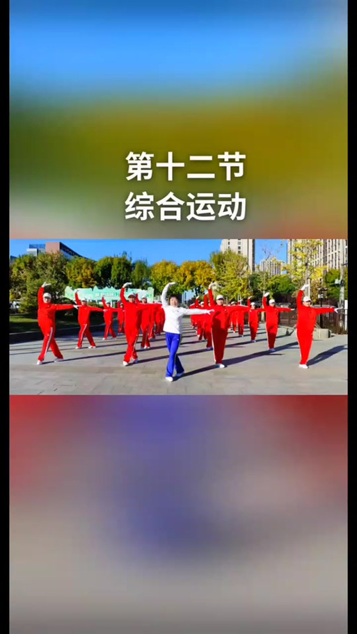 梦之队第十二套精编版