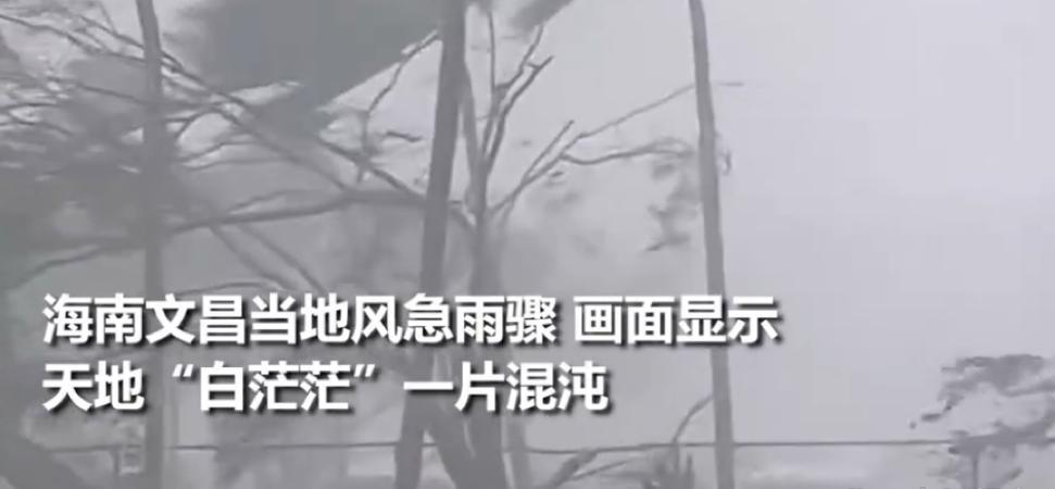 视野有一部分模糊变白