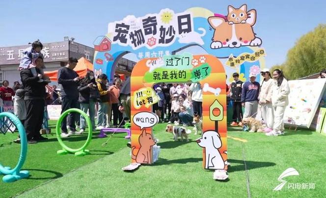 哪里有小狗卖