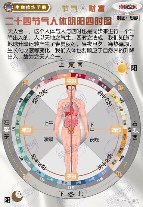 阴阳对人体的重要性