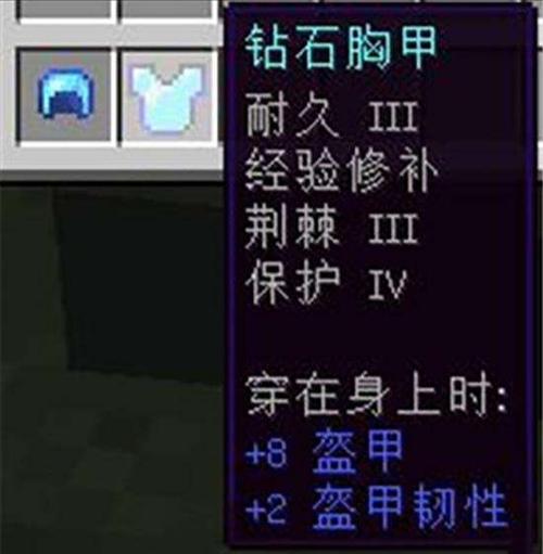 胸甲附魔截图