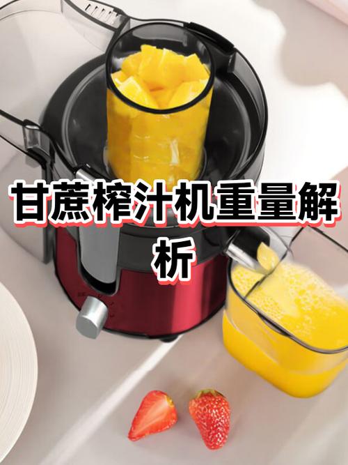 榨汁机比喻什么人