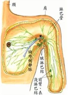 在脚底抹什么挠痒痒更痒