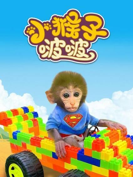 小猴子啵啵1-100集完整版动画