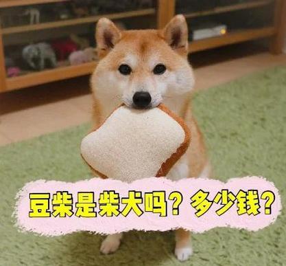 豆有钱