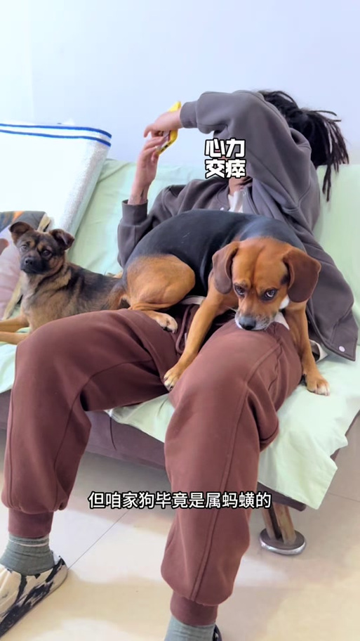 小黄鸭和曾氏父子最后怎么样了